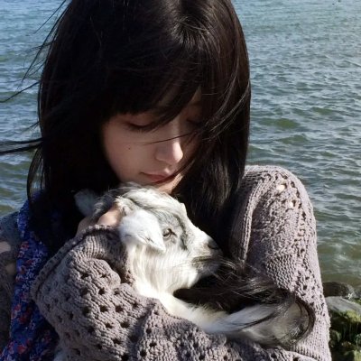 海豚的故事2